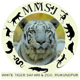 MukundPur Tiger Safari Powered by Zipr